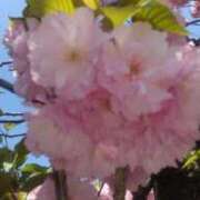 ななお 今日 熟女の風俗最終章 新宿店