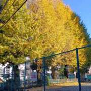 ななお 今日 熟女の風俗最終章 池袋店