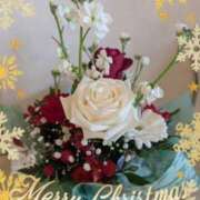 ヒメ日記 2024/12/22 14:50 投稿 まひろ 人妻小旅行