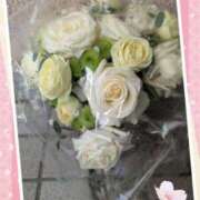 ヒメ日記 2025/03/07 22:56 投稿 まひろ 人妻小旅行