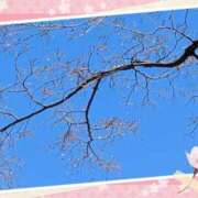 ヒメ日記 2025/03/10 17:42 投稿 まひろ 人妻小旅行