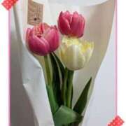 ヒメ日記 2025/03/21 15:07 投稿 まひろ 人妻小旅行