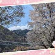 ヒメ日記 2025/04/14 21:32 投稿 まひろ 人妻小旅行