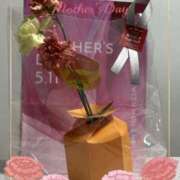 ヒメ日記 2025/05/13 12:22 投稿 まひろ 人妻小旅行