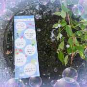 ヒメ日記 2025/05/22 14:32 投稿 まひろ 人妻小旅行