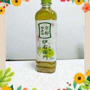 ヒメ日記 2025/06/13 08:52 投稿 まひろ 人妻小旅行