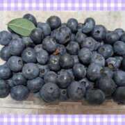 ヒメ日記 2025/06/26 08:47 投稿 まひろ 人妻小旅行