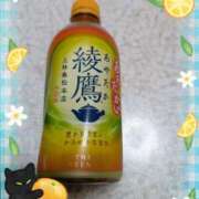 ヒメ日記 2025/10/22 22:27 投稿 まひろ 人妻小旅行