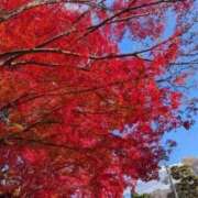 ヒメ日記 2025/11/29 13:57 投稿 まひろ 人妻小旅行