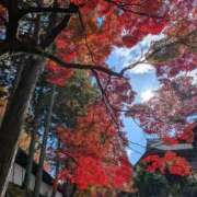 ヒメ日記 2025/12/06 10:07 投稿 まひろ 人妻小旅行