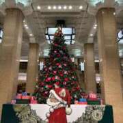 ヒメ日記 2025/12/14 23:57 投稿 まひろ 人妻小旅行