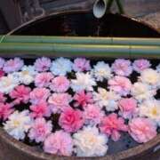 ヒメ日記 2025/12/30 15:27 投稿 まひろ 人妻小旅行