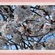 ヒメ日記 2026/03/27 14:25 投稿 まひろ 人妻小旅行