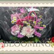 ヒメ日記 2026/04/03 00:25 投稿 まひろ 人妻小旅行