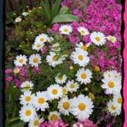 ヒメ日記 2026/04/07 15:55 投稿 まひろ 人妻小旅行