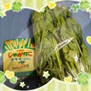 ヒメ日記 2026/04/15 09:15 投稿 まひろ 人妻小旅行