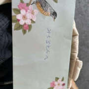 ヒメ日記 2025/03/23 16:48 投稿 みちる 奥鉄オクテツ東京店（デリヘル市場）