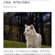 ヒメ日記 2025/10/27 09:35 投稿 みちる 奥鉄オクテツ東京店（デリヘル市場）