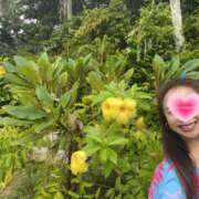 ヒメ日記 2025/12/07 19:30 投稿 みちる 奥鉄オクテツ東京店（デリヘル市場）