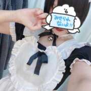 ヒメ日記 2026/04/09 06:12 投稿 みはる 新宿クリスタル