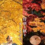 ヒメ日記 2025/11/03 09:40 投稿 みちる 奥鉄オクテツ神奈川店（デリヘル市場グループ）