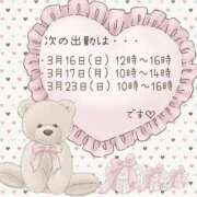 ヒメ日記 2025/03/11 12:18 投稿 せりな 西川口こんにちわいふ（シンデレラグループ）