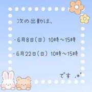 ヒメ日記 2025/06/07 09:02 投稿 せりな 西川口こんにちわいふ（シンデレラグループ）