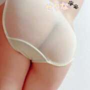 ヒメ日記 2025/10/26 07:30 投稿 せりな 西川口こんにちわいふ（シンデレラグループ）