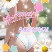 ヒメ日記 2025/01/09 01:41 投稿 藤咲りん 神のオイルと姫の泡