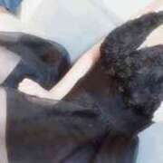 ヒメ日記 2024/12/29 01:59 投稿 桃叶じゅり 神のオイルと姫の泡