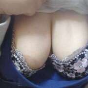 ヒメ日記 2025/04/13 17:03 投稿 ぼたん 小岩人妻花壇