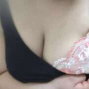 ヒメ日記 2025/06/14 12:04 投稿 ぼたん 小岩人妻花壇