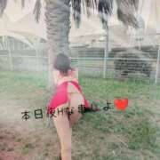 ヒメ日記 2026/04/15 10:23 投稿 吉岡りん 西船橋快楽Ｍ性感倶楽部～前立腺マッサージ専門～