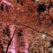 ヒメ日記 2025/04/04 11:43 投稿 吉岡りん 錦糸町快楽M性感倶楽部～前立腺マッサージ専門～