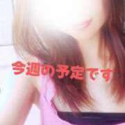 ヒメ日記 2025/04/08 11:43 投稿 吉岡りん 錦糸町快楽M性感倶楽部～前立腺マッサージ専門～