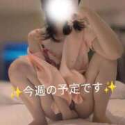 ヒメ日記 2026/02/16 13:53 投稿 吉岡りん 錦糸町快楽M性感倶楽部～前立腺マッサージ専門～