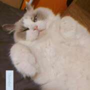 ヒメ日記 2025/07/10 23:45 投稿 佐藤 いお Men's relaxation VEGA