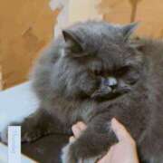 ヒメ日記 2025/07/24 23:34 投稿 佐藤 いお Men's relaxation VEGA