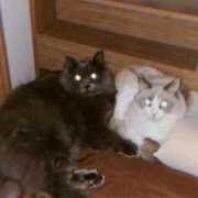 ヒメ日記 2025/08/04 01:52 投稿 佐藤 いお Men's relaxation VEGA