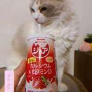 ヒメ日記 2025/09/07 12:51 投稿 佐藤 いお Men's relaxation VEGA