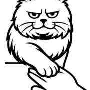 ヒメ日記 2025/11/22 06:30 投稿 佐藤 いお Men's relaxation VEGA