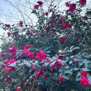 うの 今日から12月🎄 CLUB DEEP