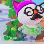 ヒメ日記 2025/12/12 15:28 投稿 かのん アラモード