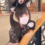 ヒメ日記 2025/02/12 20:21 投稿 はるか ウルトラドリーム