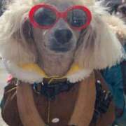 ヒメ日記 2025/02/21 11:58 投稿 山崎 西川口デッドボール