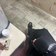 ヒメ日記 2026/02/18 11:25 投稿 かすみ 妻天 日本橋店