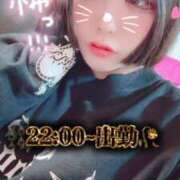 ヒメ日記 2024/12/23 05:00 投稿 神南 BBW錦糸町店