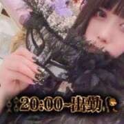 ヒメ日記 2024/12/24 08:57 投稿 神南 BBW錦糸町店