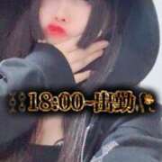 ヒメ日記 2024/12/28 19:02 投稿 神南 BBW錦糸町店