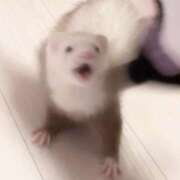 ヒメ日記 2025/05/29 09:30 投稿 神南 BBW錦糸町店